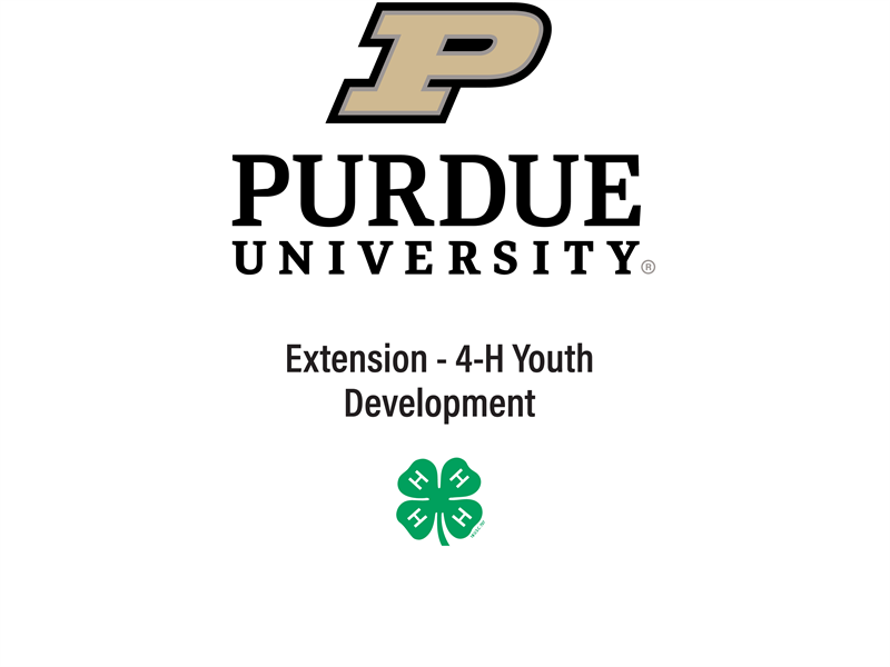 Logo for 2025 Ripley County Indiana 4-H Fair