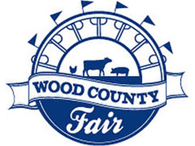 Logo for 2025 Wood County Open Fair