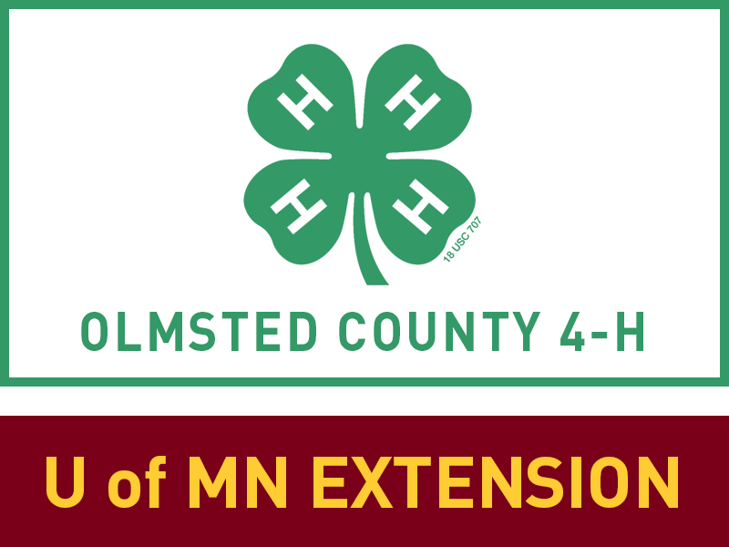 Logo for 2025 Olmsted County Fair