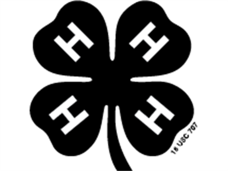 Logo for 2025 Grant County 4-H Fair