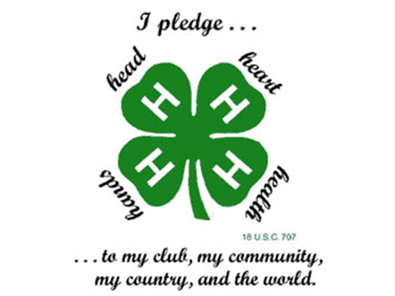 Logo for 2025 Butte County MASA