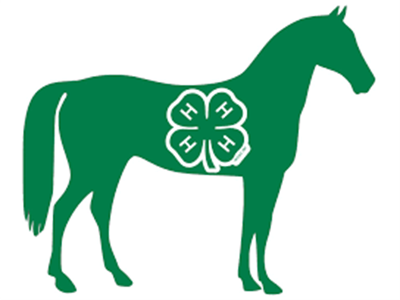 Logo for 2025 Kingsbury County Horse Show