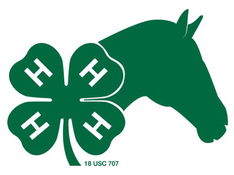 Logo for 2025 Sanborn County Horse Show
