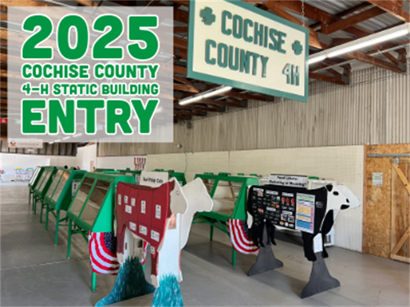 Logo for 2025 Cochise County 4-H Static Building
